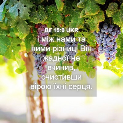 Picture 04 - Дії 15:9 UKR - і між нами та ними різниці - Bible Verse Picture