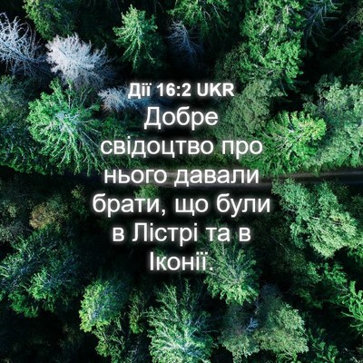 Picture 04 - Дії 16:2 UKR - Добре свідоцтво про нього - Bible Verse Picture