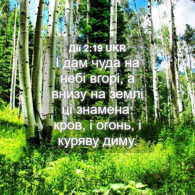 Picture 04 - Дії 2:19 UKR - І дам чуда на небі вгорі, а - Bible Verse Picture