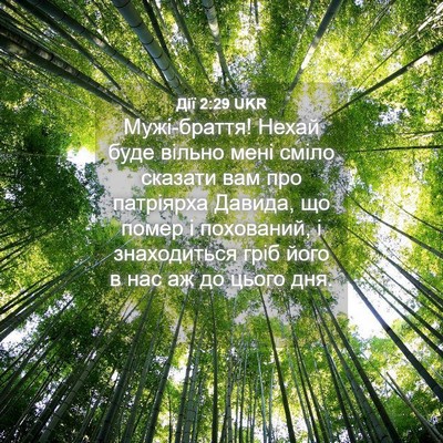 Picture 04 - Дії 2:29 UKR - Мужі-браття! Нехай буде - Bible Verse Picture