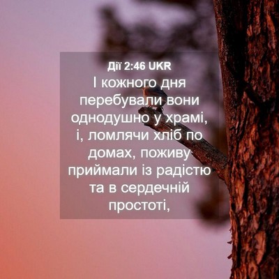 Picture 04 - Дії 2:46 UKR - І кожного дня перебували - Bible Verse Picture