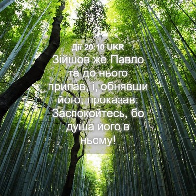 Picture 04 - Дії 20:10 UKR - Зійшов же Павло та до нього - Bible Verse Picture
