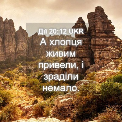 Picture 04 - Дії 20:12 UKR - А хлопця живим привели, і - Bible Verse Picture