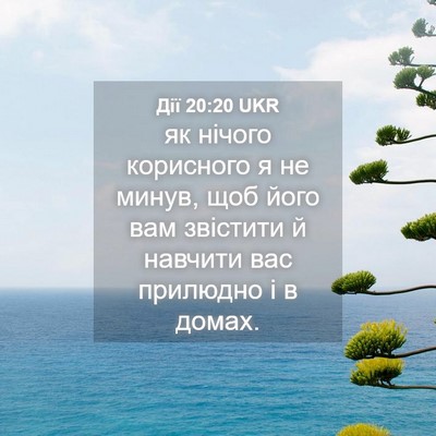 Picture 04 - Дії 20:20 UKR - як нічого корисного я не - Bible Verse Picture