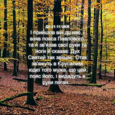 Picture 04 - Дії 21:11 UKR - І прийшов він до нас, і взяв - Bible Verse Picture
