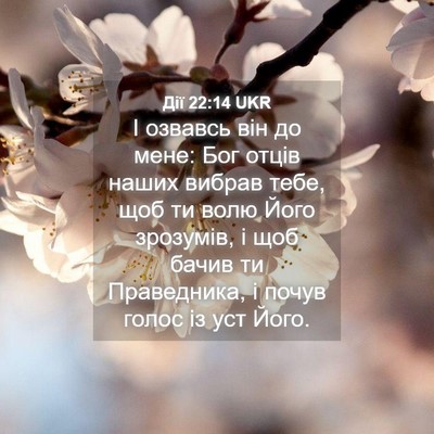 Picture 04 - Дії 22:14 UKR - І озвавсь він до мене: Бог - Bible Verse Picture