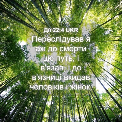 Picture 04 - Дії 22:4 UKR - Переслідував я аж до - Bible Verse Picture