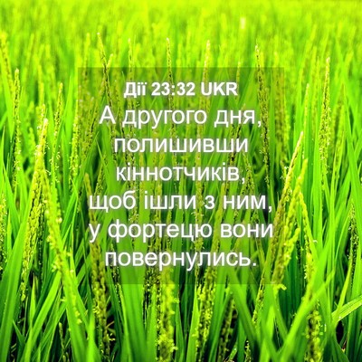 Picture 04 - Дії 23:32 UKR - А другого дня, полишивши - Bible Verse Picture