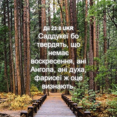Picture 04 - Дії 23:8 UKR - Саддукеї бо твердять, що - Bible Verse Picture