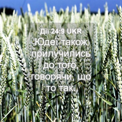 Picture 04 - Дії 24:9 UKR - Юдеї також прилучились до - Bible Verse Picture