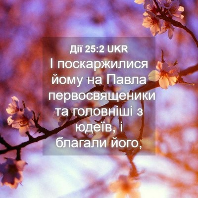 Picture 04 - Дії 25:2 UKR - І поскаржилися йому на - Bible Verse Picture