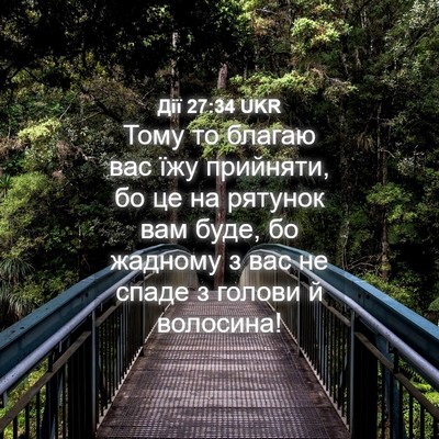 Picture 04 - Дії 27:34 UKR - Тому то благаю вас їжу - Bible Verse Picture