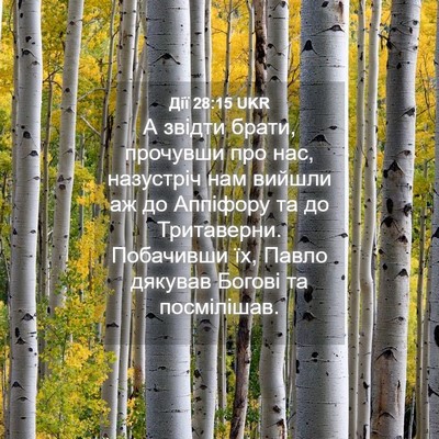 Picture 04 - Дії 28:15 UKR - А звідти брати, прочувши - Bible Verse Picture