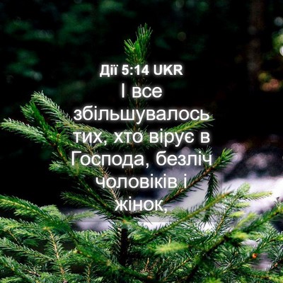 Picture 04 - Дії 5:14 UKR - І все збільшувалось тих, - Bible Verse Picture