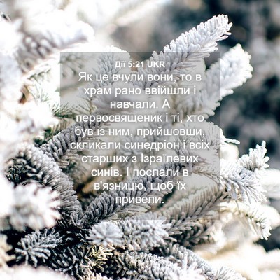 Picture 04 - Дії 5:21 UKR - Як це вчули вони, то в храм - Bible Verse Picture