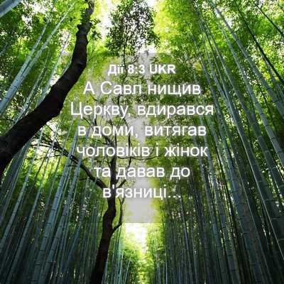 Picture 04 - Дії 8:3 UKR - А Савл нищив Церкву, - Bible Verse Picture