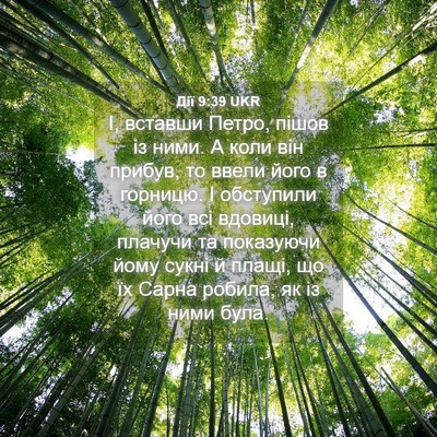 Picture 04 - Дії 9:39 UKR - І, вставши Петро, пішов із - Bible Verse Picture