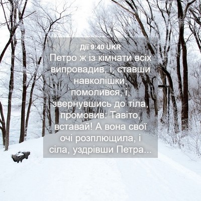 Picture 04 - Дії 9:40 UKR - Петро ж із кімнати всіх - Bible Verse Picture