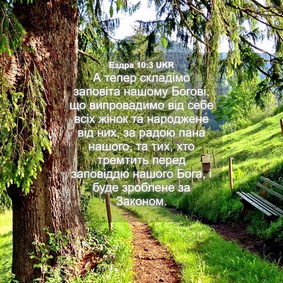 Picture 04 - Ездра 10:3 UKR - А тепер складімо заповіта - Bible Verse Picture