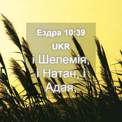 Picture 04 - Ездра 10:39 UKR - і Шелемія, і Натан, і - Bible Verse Picture