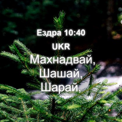 Picture 04 - Ездра 10:40 UKR - Махнадвай, Шашай, - Bible Verse Picture