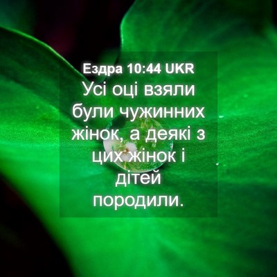 Picture 04 - Ездра 10:44 UKR - Усі оці взяли були - Bible Verse Picture