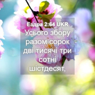 Picture 04 - Ездра 2:64 UKR - Усього збору разом сорок - Bible Verse Picture