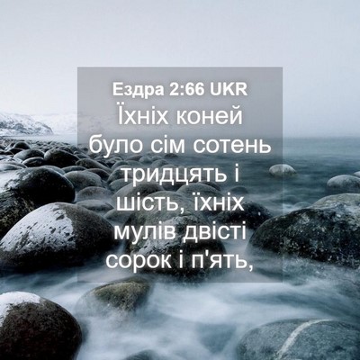Picture 04 - Ездра 2:66 UKR - Їхніх коней було сім - Bible Verse Picture