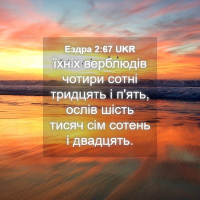 Picture 04 - Ездра 2:67 UKR - їхніх верблюдів чотири - Bible Verse Picture