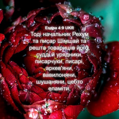 Picture 04 - Ездра 4:9 UKR - Тоді начальник Рехум та - Bible Verse Picture