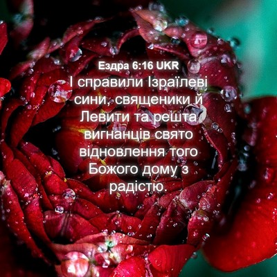 Picture 04 - Ездра 6:16 UKR - І справили Ізраїлеві сини, - Bible Verse Picture