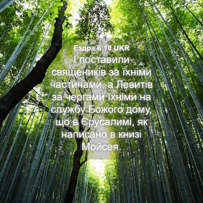 Picture 04 - Ездра 6:18 UKR - І поставили священиків за - Bible Verse Picture