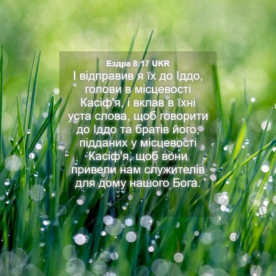 Picture 04 - Ездра 8:17 UKR - І відправив я їх до Іддо, - Bible Verse Picture