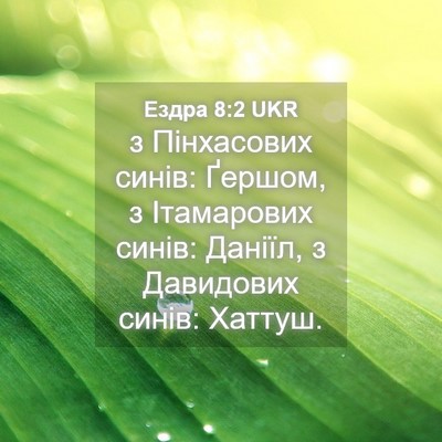 Picture 04 - Ездра 8:2 UKR - з Пінхасових синів: Ґершом, - Bible Verse Picture
