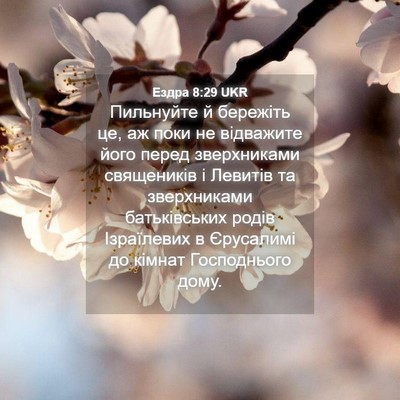 Picture 04 - Ездра 8:29 UKR - Пильнуйте й бережіть це, аж - Bible Verse Picture