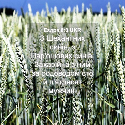 Picture 04 - Ездра 8:3 UKR - З Шеханіїних синів, з - Bible Verse Picture