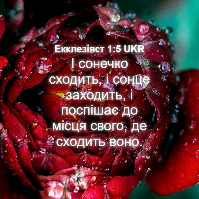 Picture 04 - Екклезіяст 1:5 UKR - І сонечко сходить, і сонце - Bible Verse Picture