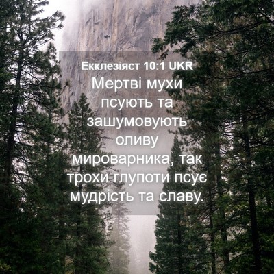 Picture 04 - Екклезіяст 10:1 UKR - Мертві мухи псують та - Bible Verse Picture
