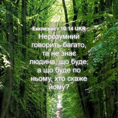 Picture 04 - Екклезіяст 10:14 UKR - Нерозумний говорить - Bible Verse Picture