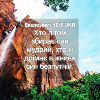 Picture 04 - Екклезіяст 10:5 UKR - Хто літом збирає син - Bible Verse Picture