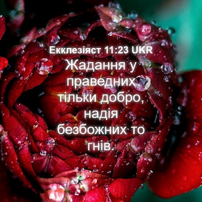 Picture 04 - Екклезіяст 11:23 UKR - Жадання у праведних тільки - Bible Verse Picture