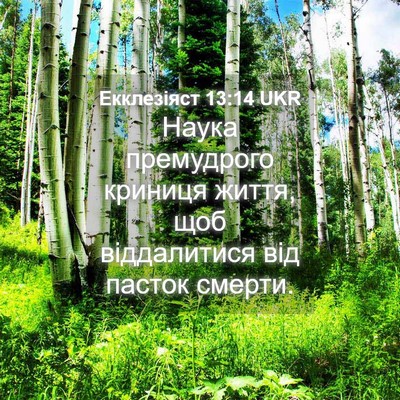 Picture 04 - Екклезіяст 13:14 UKR - Наука премудрого криниця - Bible Verse Picture