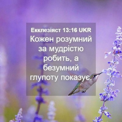 Picture 04 - Екклезіяст 13:16 UKR - Кожен розумний за мудрістю - Bible Verse Picture