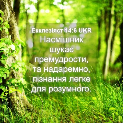 Picture 04 - Екклезіяст 14:6 UKR - Насмішник шукає - Bible Verse Picture