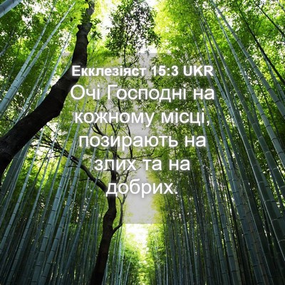 Picture 04 - Екклезіяст 15:3 UKR - Очі Господні на кожному - Bible Verse Picture