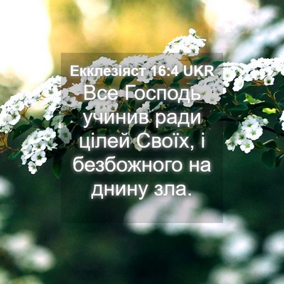 Picture 04 - Екклезіяст 16:4 UKR - Все Господь учинив ради - Bible Verse Picture