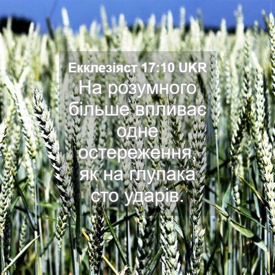 Picture 04 - Екклезіяст 17:10 UKR - На розумного більше - Bible Verse Picture