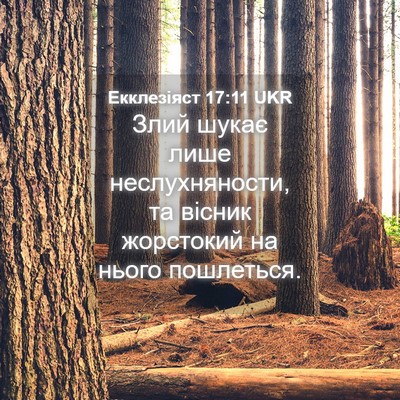 Picture 04 - Екклезіяст 17:11 UKR - Злий шукає лише - Bible Verse Picture