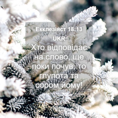 Picture 04 - Екклезіяст 18:13 UKR - Хто відповідає на слово, ще - Bible Verse Picture