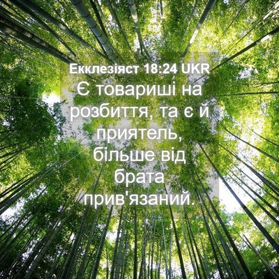 Picture 04 - Екклезіяст 18:24 UKR - Є товариші на розбиття, та - Bible Verse Picture
